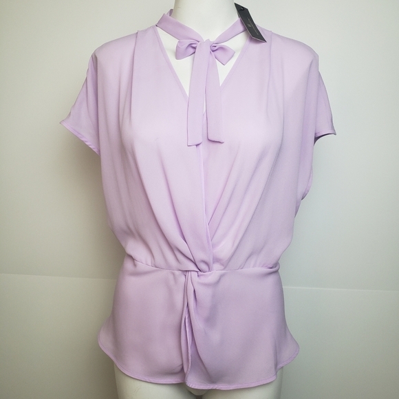 Lavender sheer blouse - Picture 6 of 8